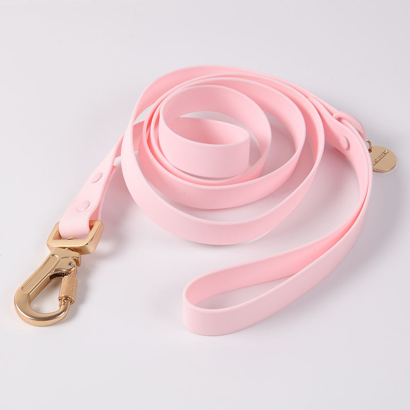 dog leash color 6