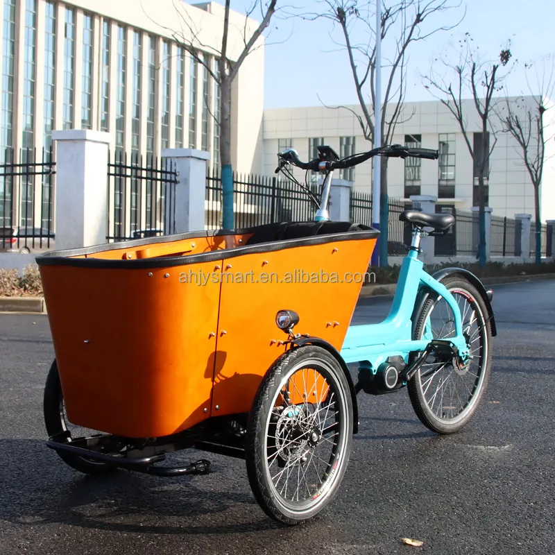 3 tekerlekli avrupa eğrisi orta Motor kargo taşıyıcı üç tekerlekli bisiklet kemer zinciri ile çocuklar için kargo bisiklet üreticisi lityum pil