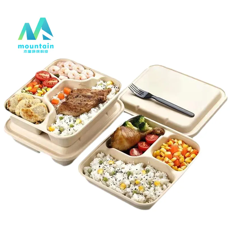 Biodegradable Sugarcane Bamboo Fiber Pulp Food Tray Sugarcane Bagasse bento Lunch Box with Lid