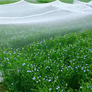 ตาข่ายพลาสติกโพลีเอทิลีนความหนาแน่นสูงตาข่ายป้องกันลูกเห็บ HDPE มีความหนาแน่นสูง - Product Image 1