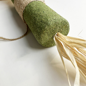 New Arrival Customized <strong>Catnip</strong> Toys Matata Bigal Fruit Raffia Teeth Grinder Kitten Catmint Chew Toy Clean <strong>Cat</strong> Accessories