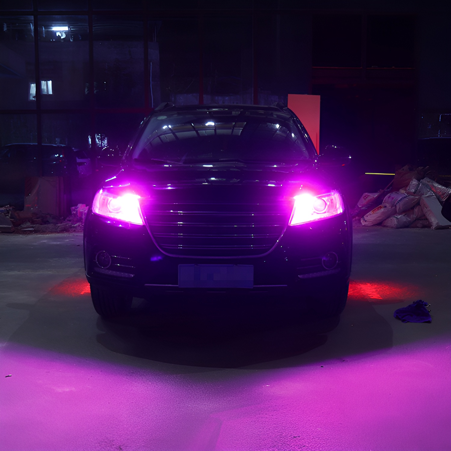 rosa