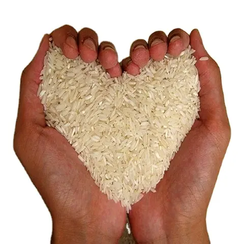 جودة طازجة وأفضل سعر درجة ممتازة نسيج صلب سائب طبيعي ونقي أرز مسلوق طويل الحبوب من تايلاند