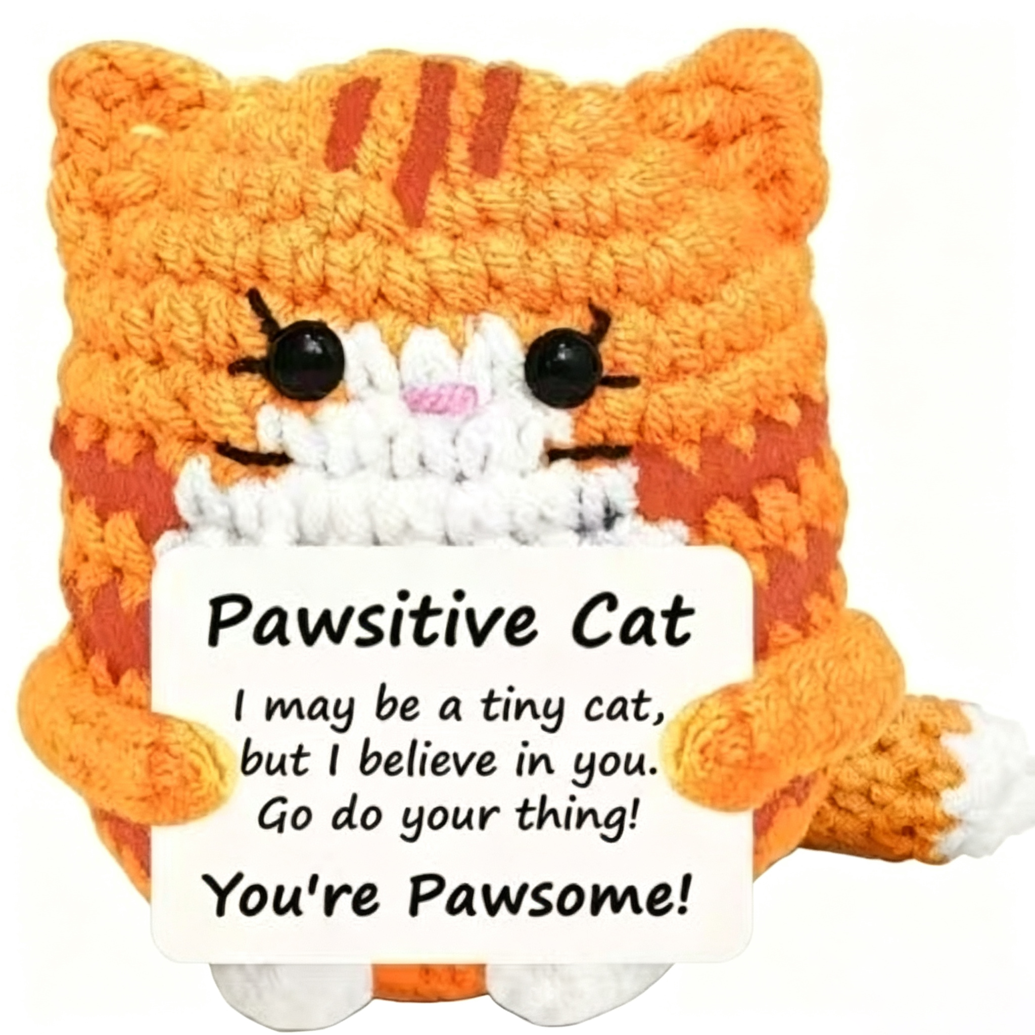 Orange Cat