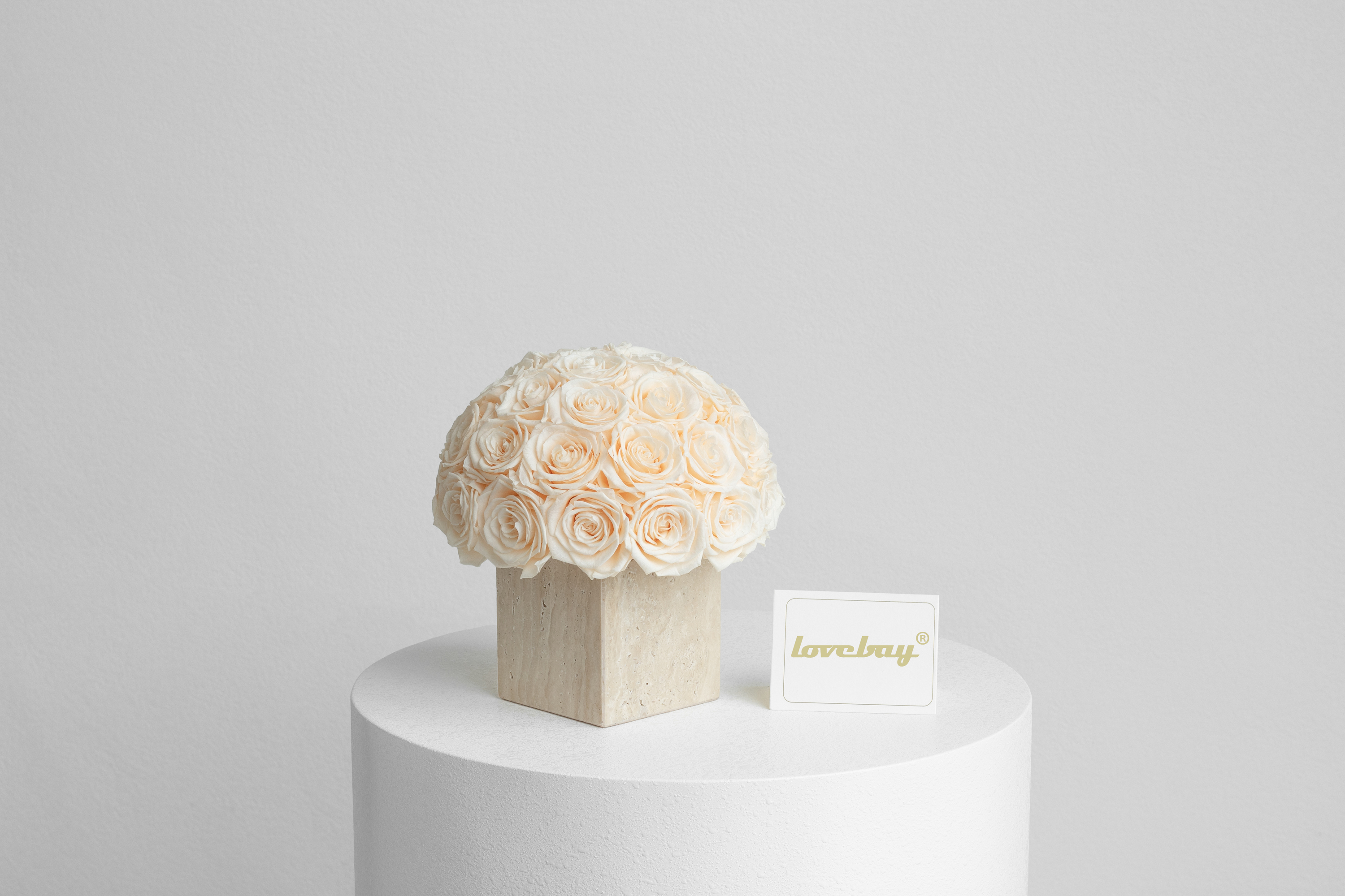 Champagne Carré 36Roses