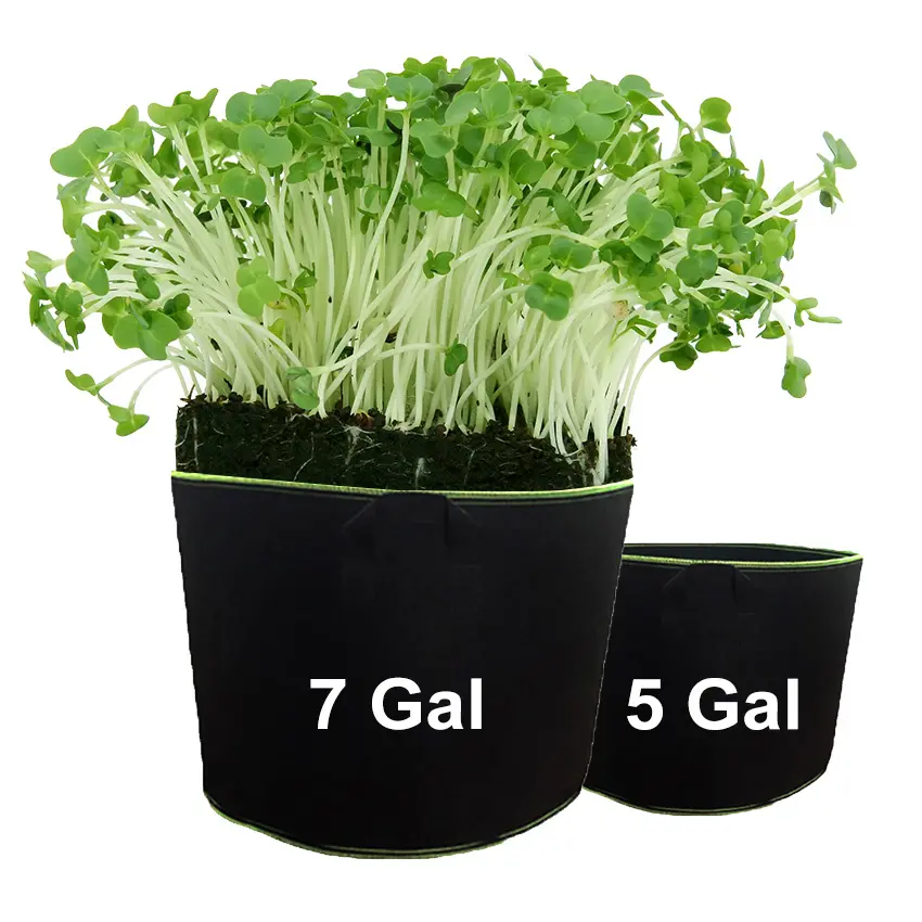 Hyh Großhandel Kartoffel Grow Bag Wieder verwendbarer Stoff 5 Gallonen Grow Bags als Garten töpfe & Pflanz gefäße