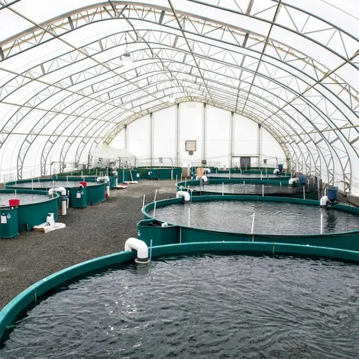 Serres aquaponiques utilisées commerciales à faible coût de tunnel élevé le moins cher pour l'étang à poissons