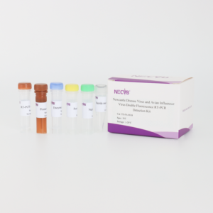 NDV & AIV için dubleks floresan RT-PCR kiti | 2h hızlı sonuç, % 99% özgüllük, ISO 17025 onaylanmış - Product Image 1