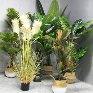 2025ロングスター人工緑植物ポット付きビッグサイズ0.6mヤシの木家庭用および屋外用新PVC素材グリーンプラント - Product Image 2