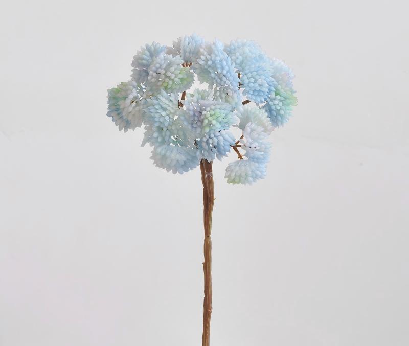 Blu-chiaro
