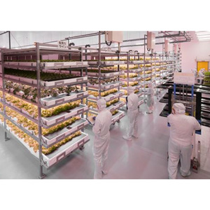 Mùa đông ấm áp 3D Max Rendering khái niệm không gian rừng tùy chỉnh thiết kế hiện đại khái niệm kế hoạch tổng thể cho các tòa nhà Kết Cấu Thép - Product Image 6