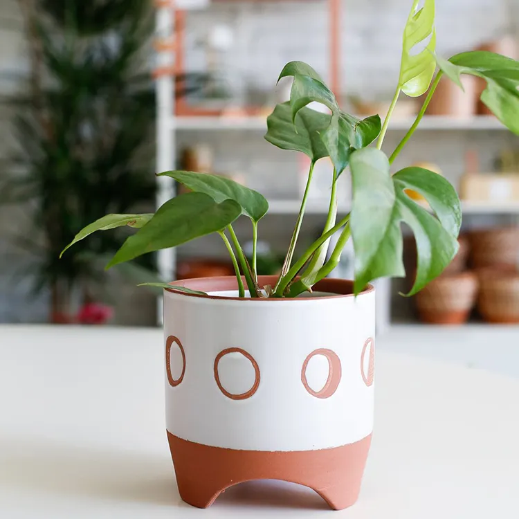 Produttore vendita design nordico a buon mercato interno piccolo vaso di fiori decorazioni all'ingrosso piante succulente vasi per soggiorno