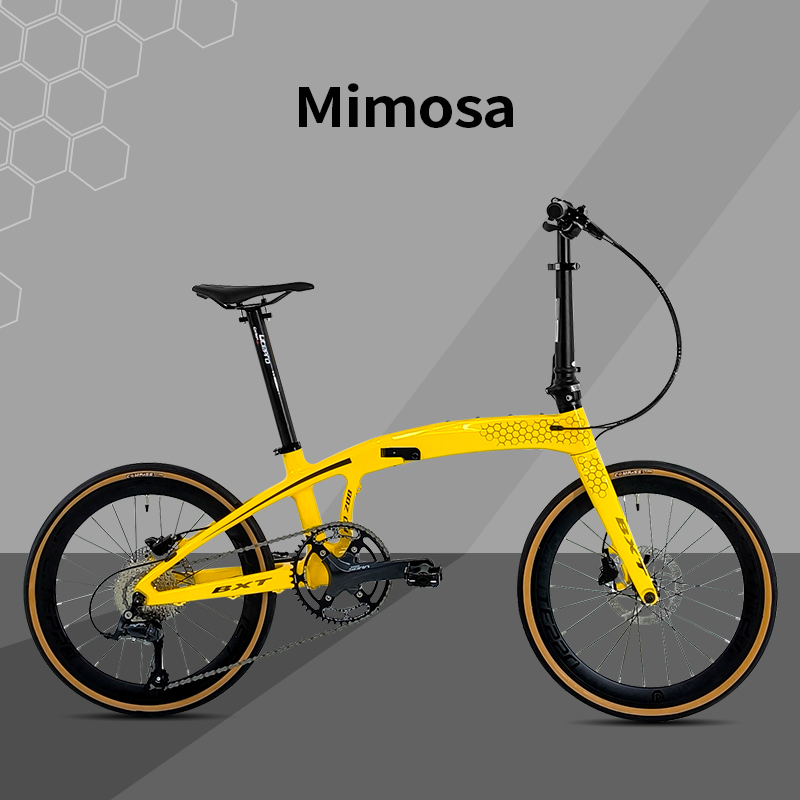 BXT Mimosa