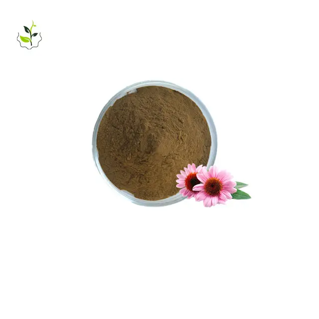 Yüksek kaliteli ücretsiz örnek ekinezya Purpurea özü Echinacea polifenoller % 4% 10% cichoric asit 2%, 3% sertifikalı