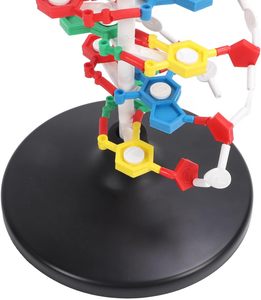Çift sarmal insan genleri DNA modelleri DNA montajı için biyolojik bilim öğretim yardımı ekran bilim öğretim enstrümanı - Product Image 4