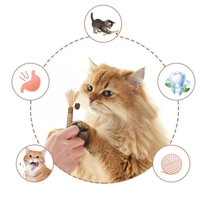 Juguetes explosivos para mordedores para mascotas Silvervine Catnip masticar Limpieza de dientes juguetes interactivos para gatos - Product Image 2