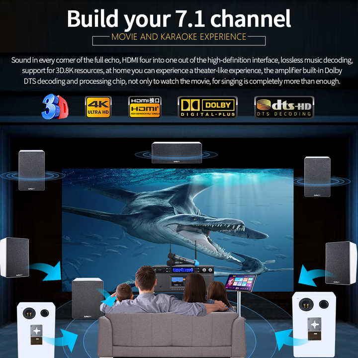 7.1 amplificatore home theater KTV DTS suono panoramico decodifica digitale HD karaoke riverbero 8 canali amplificatore di potenza
