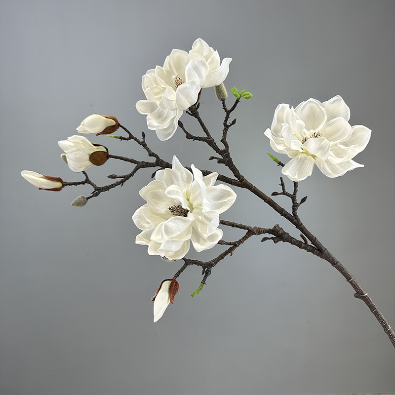 Blanc