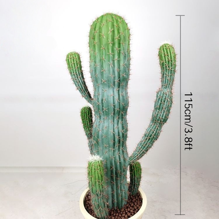 115 cm/3,8 pies