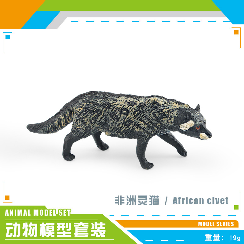 PL127-2637 African Civet Cat 19G