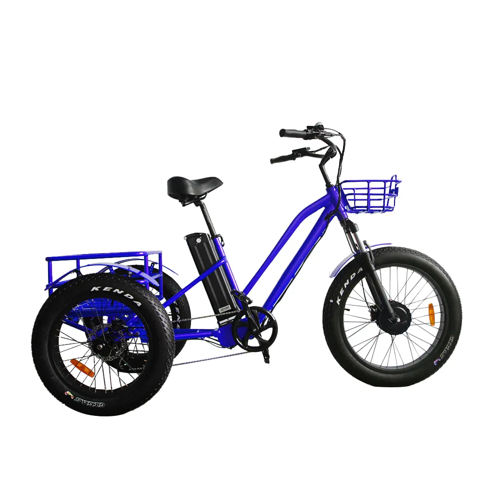 48 V שלושה מבוגרים אופנוע גלגל אופניים תלת אופן עם פנל LCD