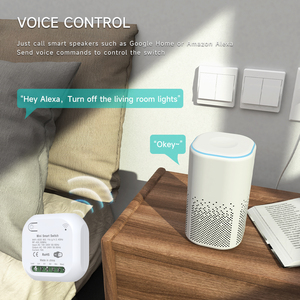 Für Tuya Wasserdichter WiFi Ein-Aus-Wand schalter Timer Smart ABS Lichtsc halter für die Heims teuerung über Telefon Smart Life App 10A/16A max - Product Image 3
