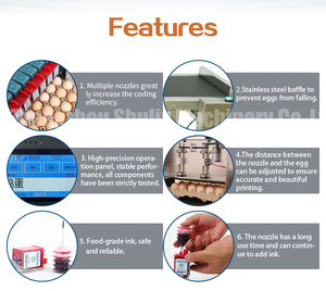 Automatic Capacitive Touch Screen Professional Egg Spray Inkjet Printer <strong>Coding</strong> Machine - Product Image 5