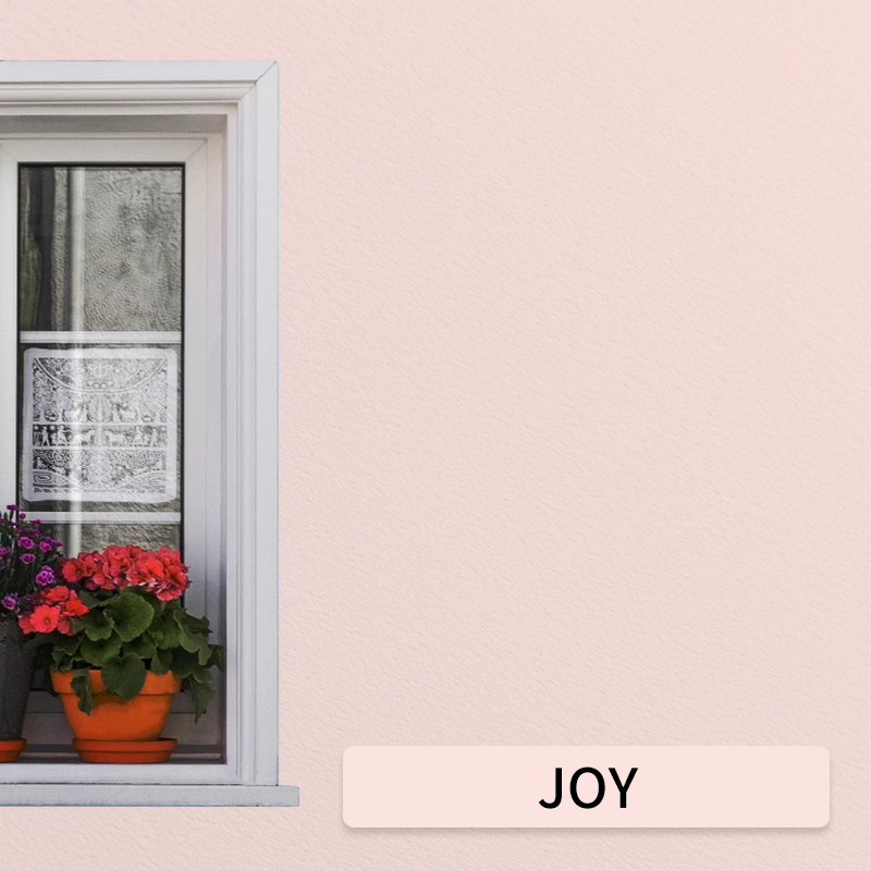 Joie