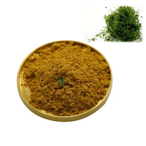 Органический экстракт гиностеммы пентафиллум порошок гипенозид 10%-98% гиностемма растительный экстракт - Product Image 2