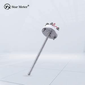PT100 Platinum Thermal Resistance Core for Temperature Measurement Sensor Transmissor de temperatura blindado Alta precisão