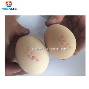 Cartucho de tinta de impresora de sistema de estampado de código de huevo - Product Image 4