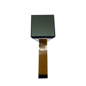 Display personalizzato Micro OLED 2 cifre 7 segmento monocromatico trasparente pannello LCD FSTN per elettrodomestici intelligenti - Product Image 1