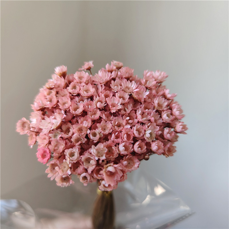 50 stems - light pink