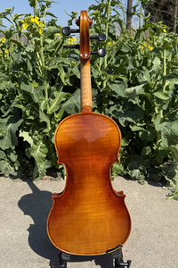 Guan Shang Chi atölyesi profesyonel GCV avrupa keman 750E - Product Image 3