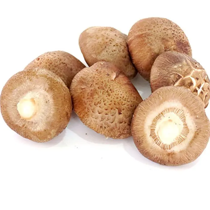 Cogumelos de shiitake iqf vegetais congelados frescos, vendas a longo prazo
