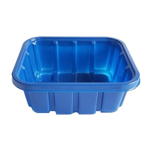 Khay đựng thực phẩm nấm tươi siêu thị, hộp nhựa PET dùng một lần, thân thiện với môi trường và dễ sử dụng - Product Image 2