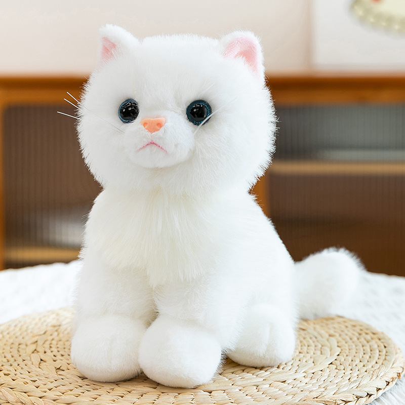 White + cat pronunciation device