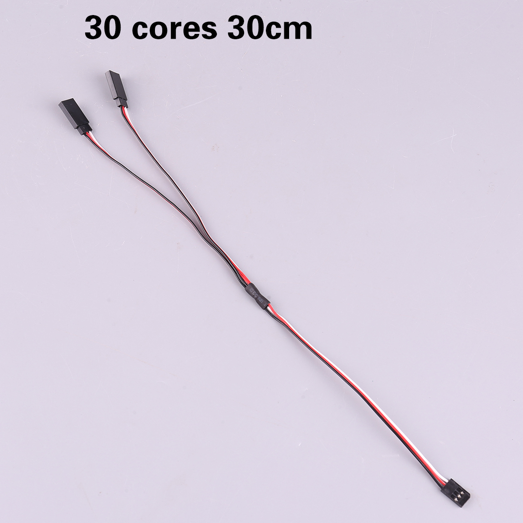 30 cœurs 30CM