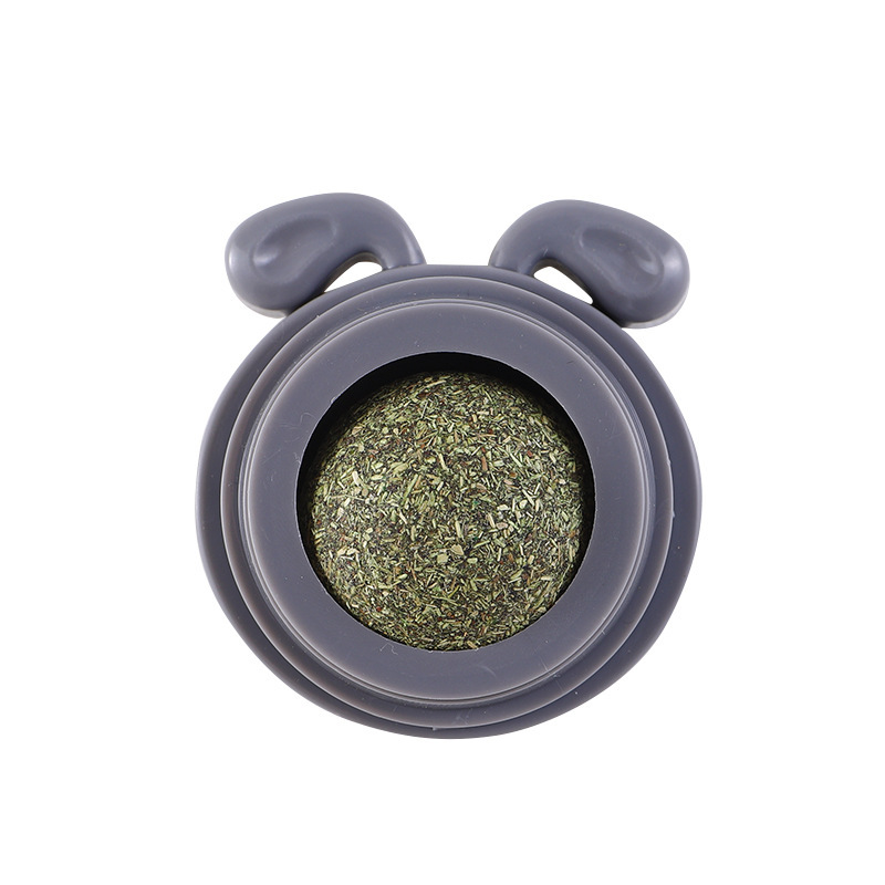 cane grigio