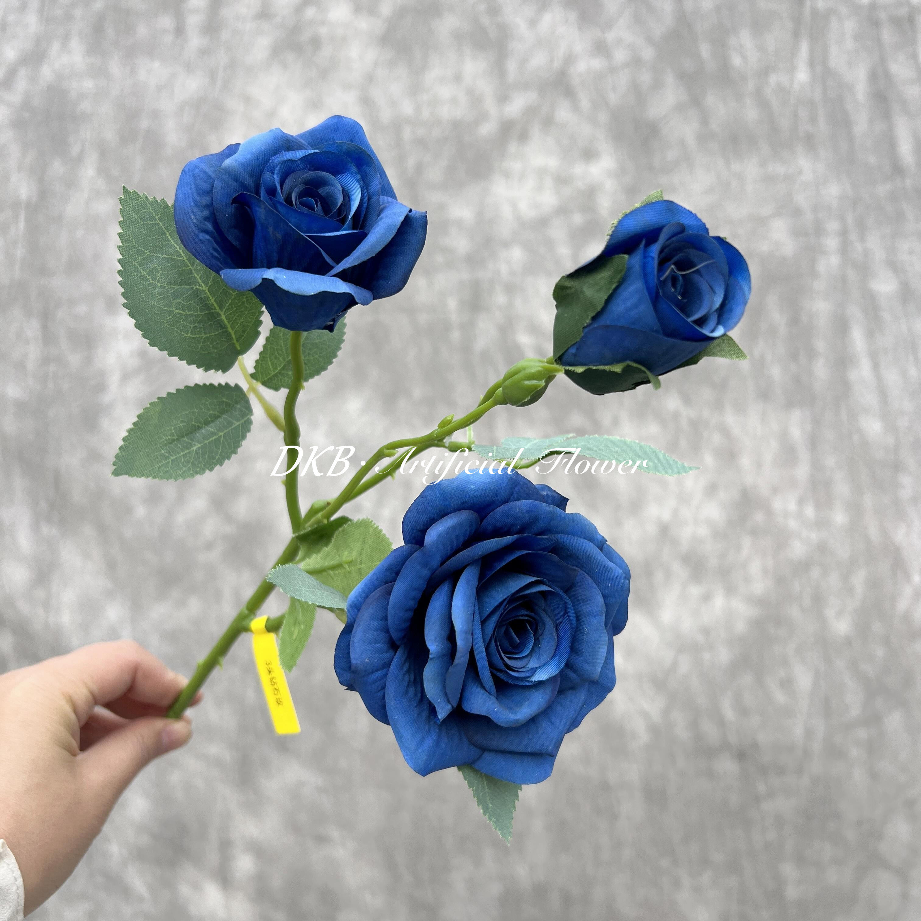 สีน้ำเงิน