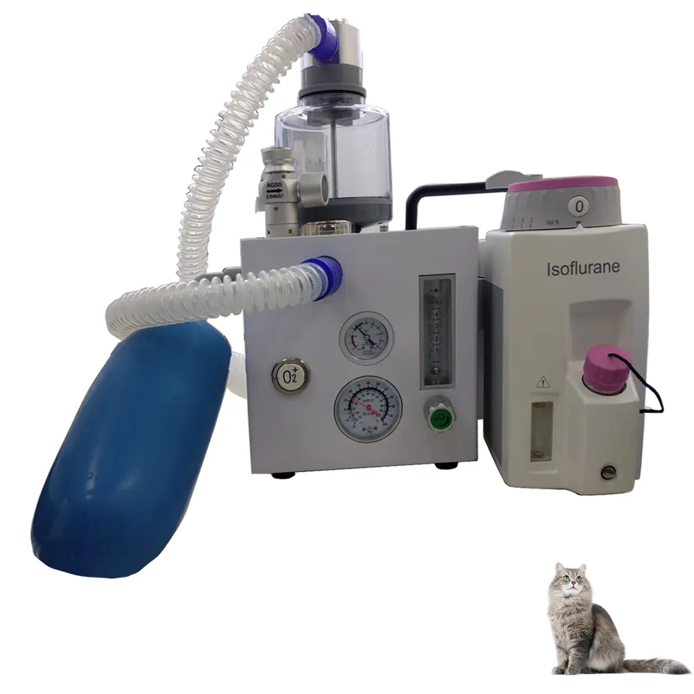 Dispositivo de suministro de Gas para clínica veterinaria, máquina de anestesia con bolsa de depósito