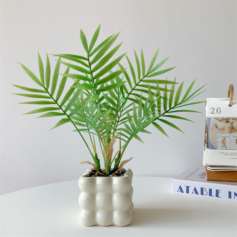 Bouteille à bulles carrée en palmier Areca