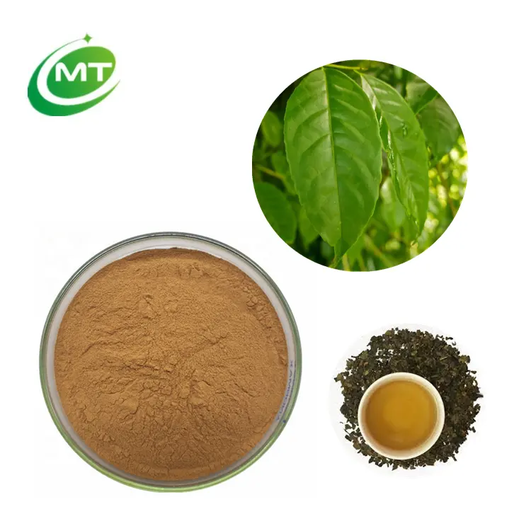 Chiết Xuất Từ Lá Guayusa Chất Lượng Tốt Nhất Bột Chiết Xuất Từ Trà Ku Cha Chiết Xuất Ilex Guayusa