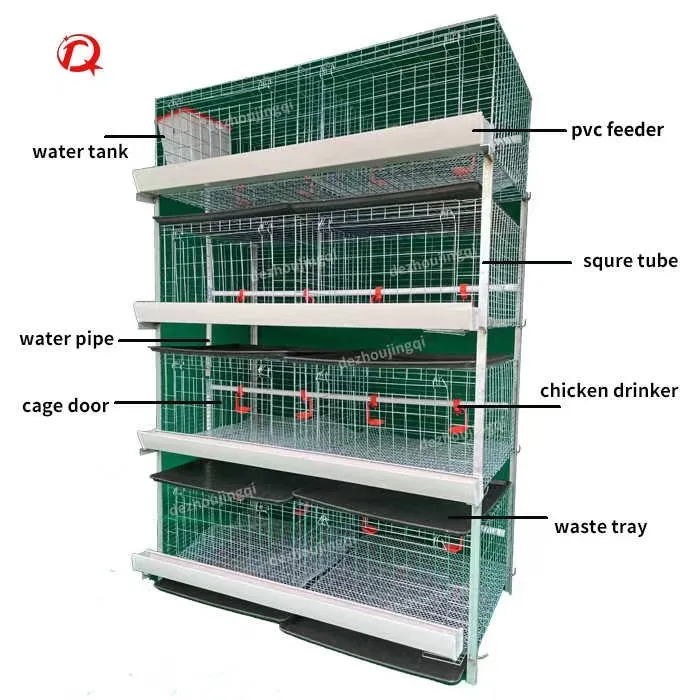 4 tầng công suất 80 dành cho người lớn Gà Thịt gà Lồng cho Kenya trang trại Gà Thịt lồng hệ thống Gà Thịt lồng để bán