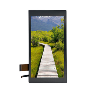 Supporto Raspberry Pi 5.0 pollici 720x1280 risoluzione ip MIPI interfaccia TFT schermo LCD modulo di visualizzazione con pannello a sfioramento opzionale