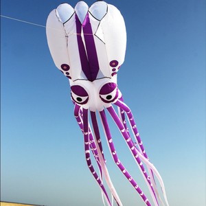 新软件3D章鱼立体吸盘大型成人风筝擅长抗强风飞行轻松户外运动