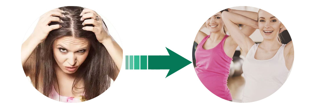 Σκόνη αποσπασμάτων του Blackberry με τις ανθοκυανιδίνες 25%/τις ανθοκυάνες 1 - 25% 4