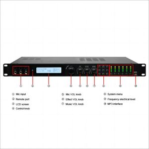 Procesador profesional Procesador de audio digital 2 entradas 6 salidas Señal LED Ecualizador Sistema de karaoke Procesador