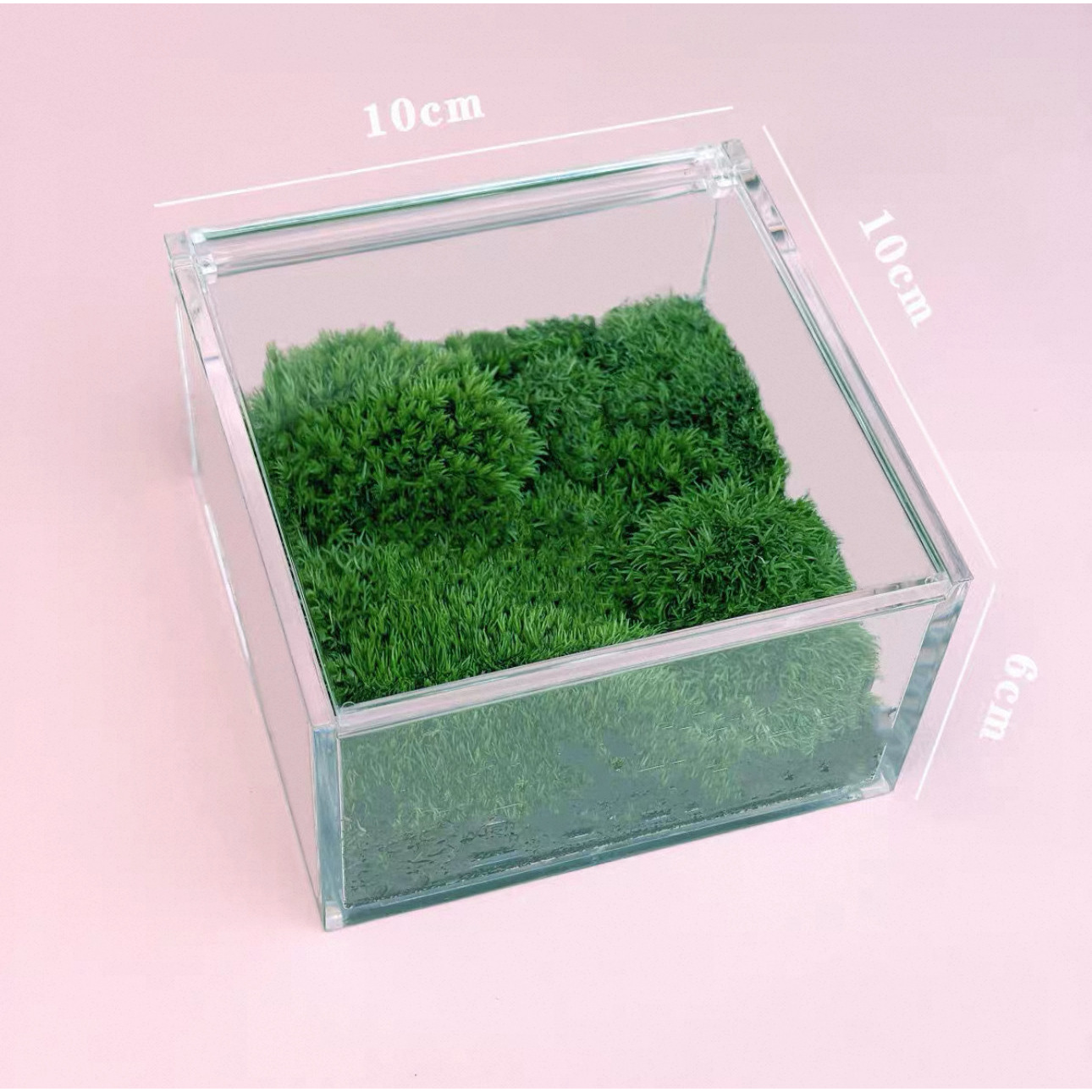 Extra Large (10x10x6cm Private Lawn)