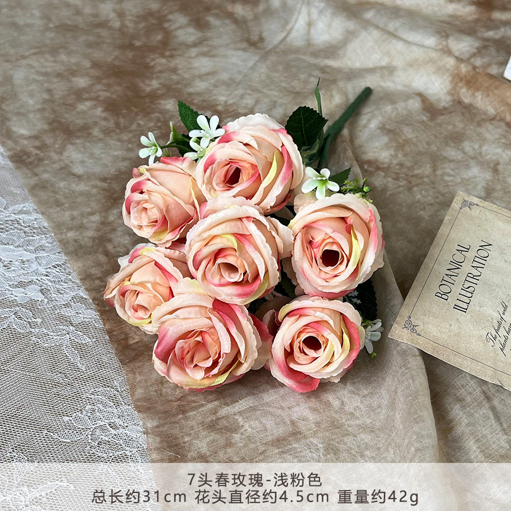 Rosa primaverile testa di Rly-7-rosa chiaro